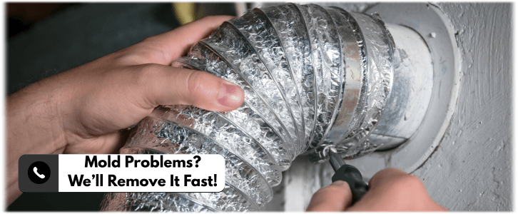 Air Duct Mold Removal in Naperville