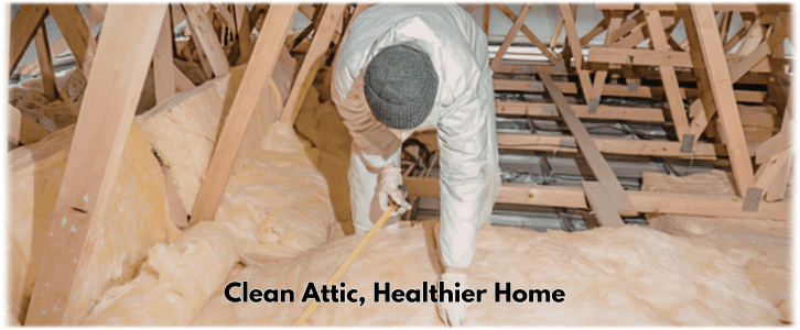 Attic Cleaning Naperville