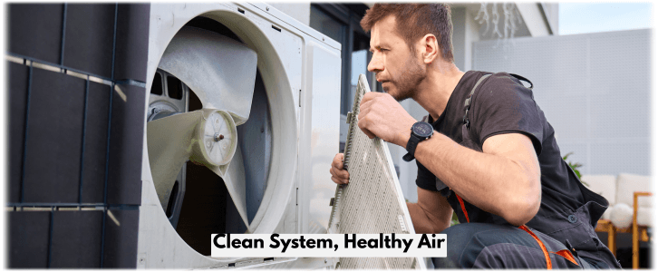 HVAC Mold Removal Naperville